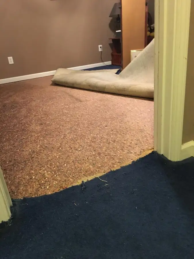 Carpet pad removal revealing water damage during Drying & Dehumidification in Festus