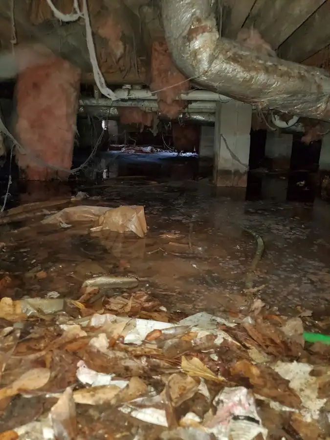 Crawl space flood assessment for Leak Detection & Repair in Festus